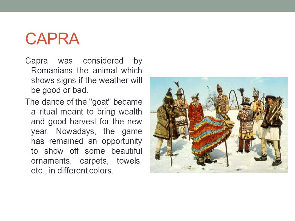 CAPRA Capra was considered by Romanians the animal which shows signs if the weather will be good or bad.