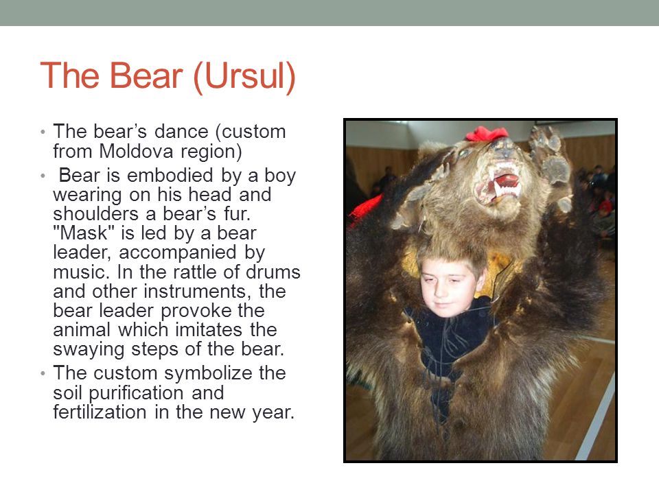 The Bear (Ursul) The bear’s dance (custom from Moldova region) Bear is embodied by a boy wearing on his head and shoulders a bear’s fur.