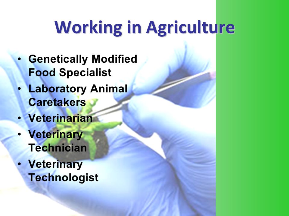 So You Want to Work in Biotechnology… By Dallas Duncan and Dr. Frank B.  Flanders June ppt download