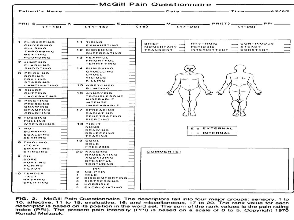 Pain Management in Elderly Patients - ppt video online download