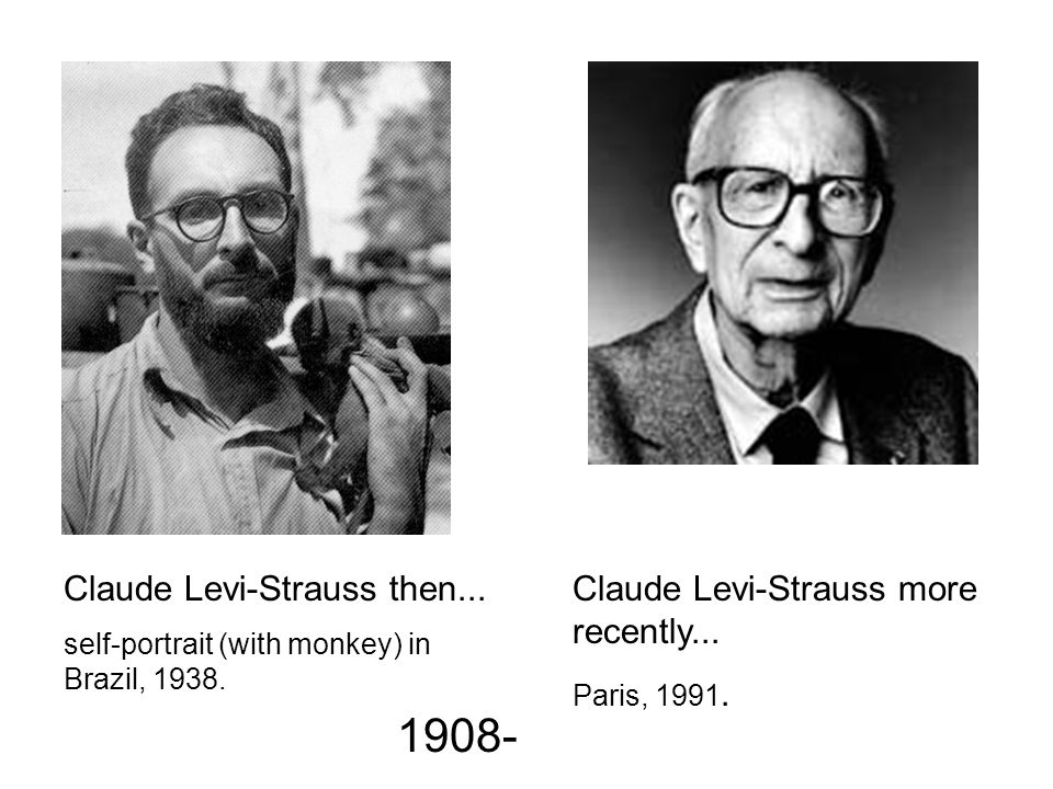 levi strauss ppt
