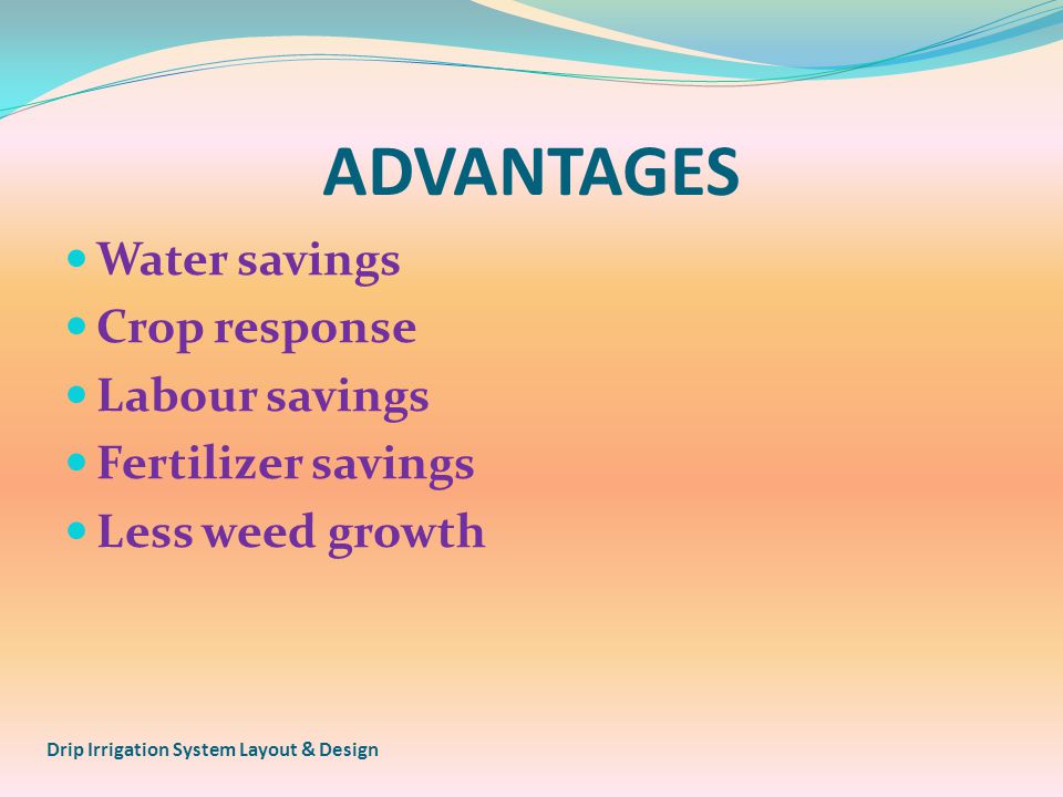 ADVANTAGES Water savings Crop response Labour savings Fertilizer savings Less weed growth Drip Irrigation System Layout & Design