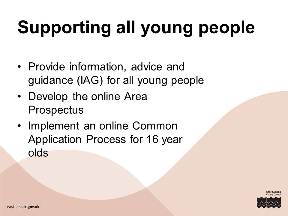 Supporting all young people Provide information, advice and guidance (IAG) for all young people Develop the online Area Prospectus Implement an online Common Application Process for 16 year olds