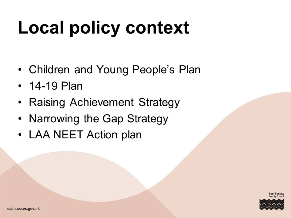 Local policy context Children and Young People’s Plan Plan Raising Achievement Strategy Narrowing the Gap Strategy LAA NEET Action plan