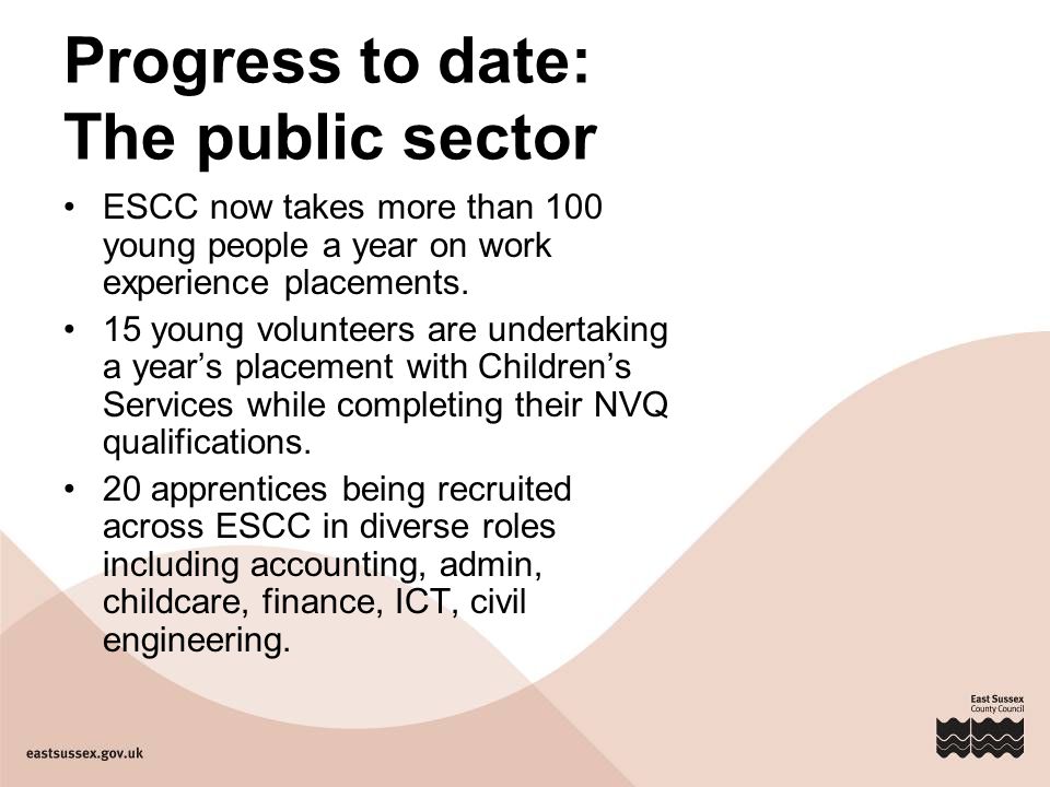 Progress to date: The public sector ESCC now takes more than 100 young people a year on work experience placements.