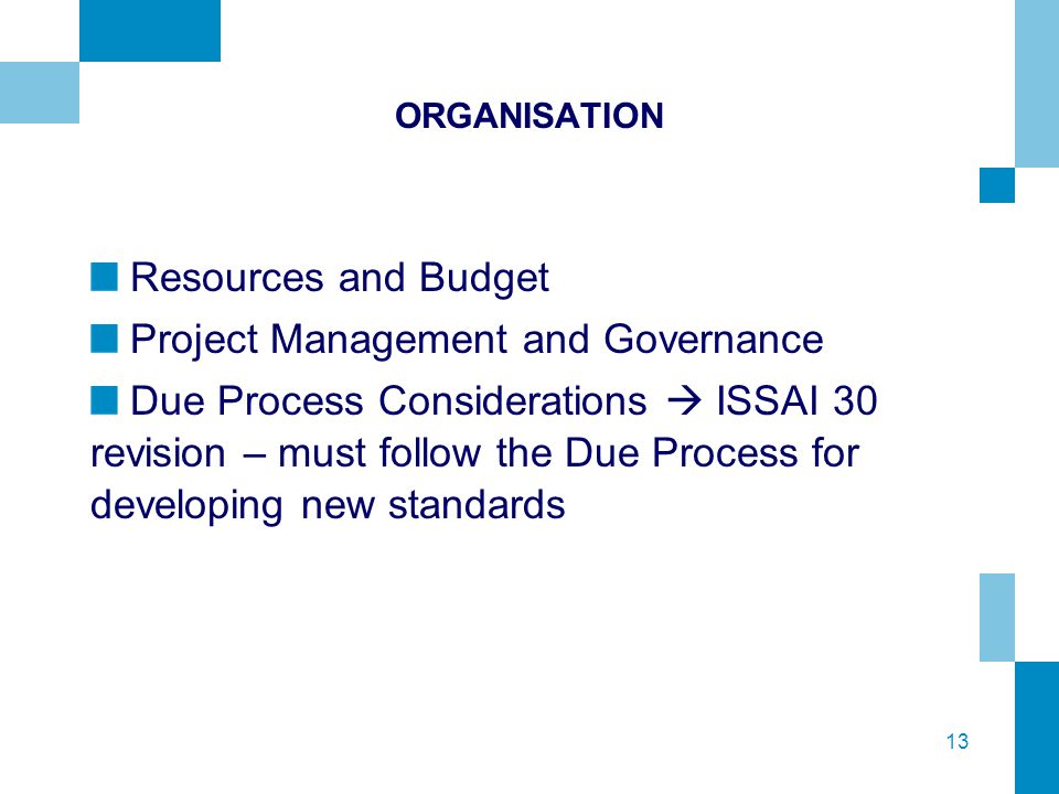 13 ORGANISATION Resources and Budget Project Management and Governance Due Process Considerations  ISSAI 30 revision – must follow the Due Process for developing new standards