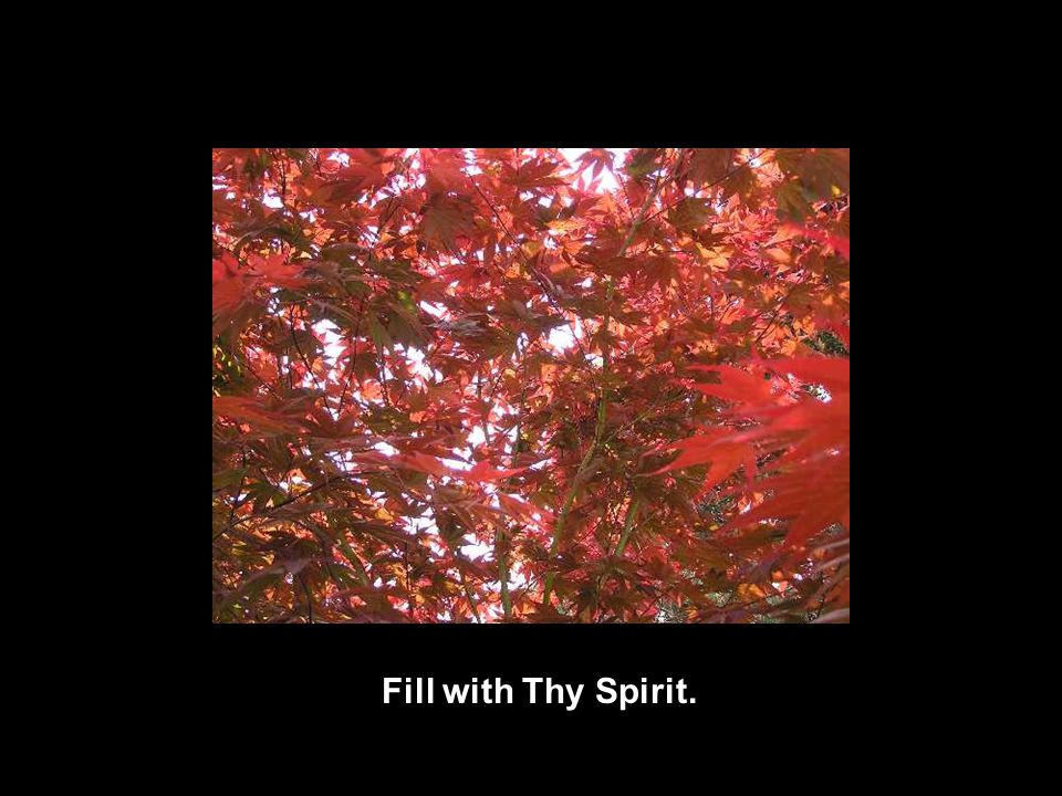 Fill with Thy Spirit.