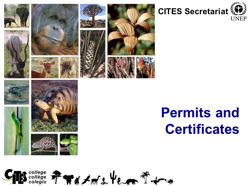 1 Permits and Certificates CITES Secretariat