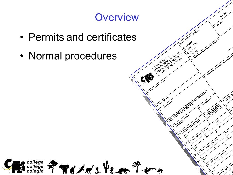 2 Overview Permits and certificates Normal procedures