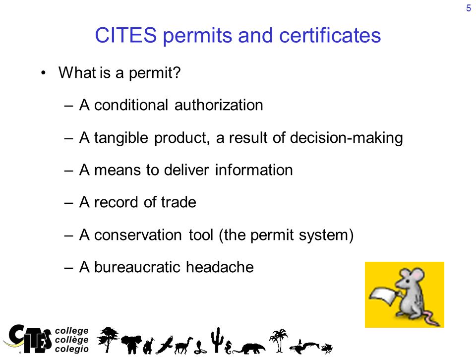 5 CITES permits and certificates What is a permit.