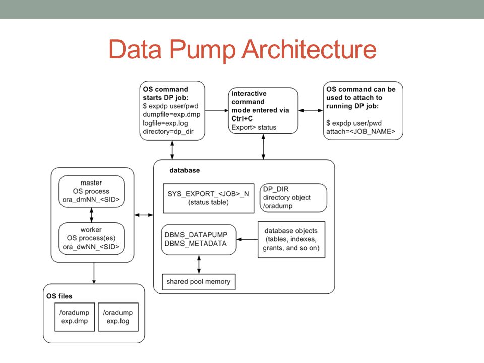 CHAPTER 13 Data Pump. Tool that replaces legacy exp/imp utilities Data Pump  is a scalable, feature-rich utility that allows you to extract objects and.  - ppt download