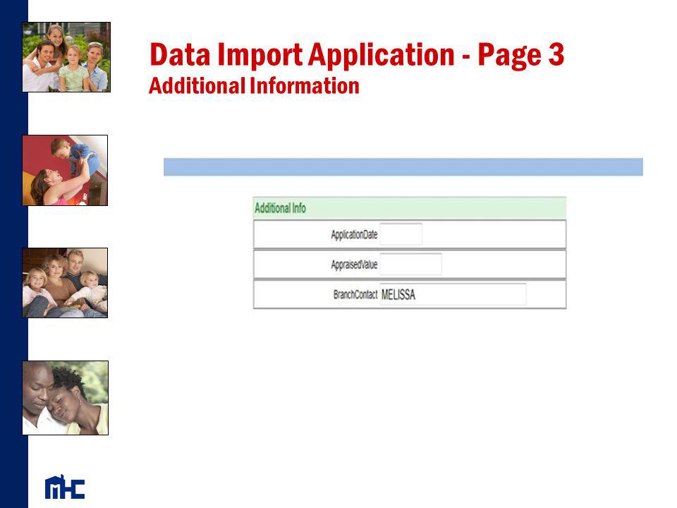 Data Import Application - Page 3 Additional Information