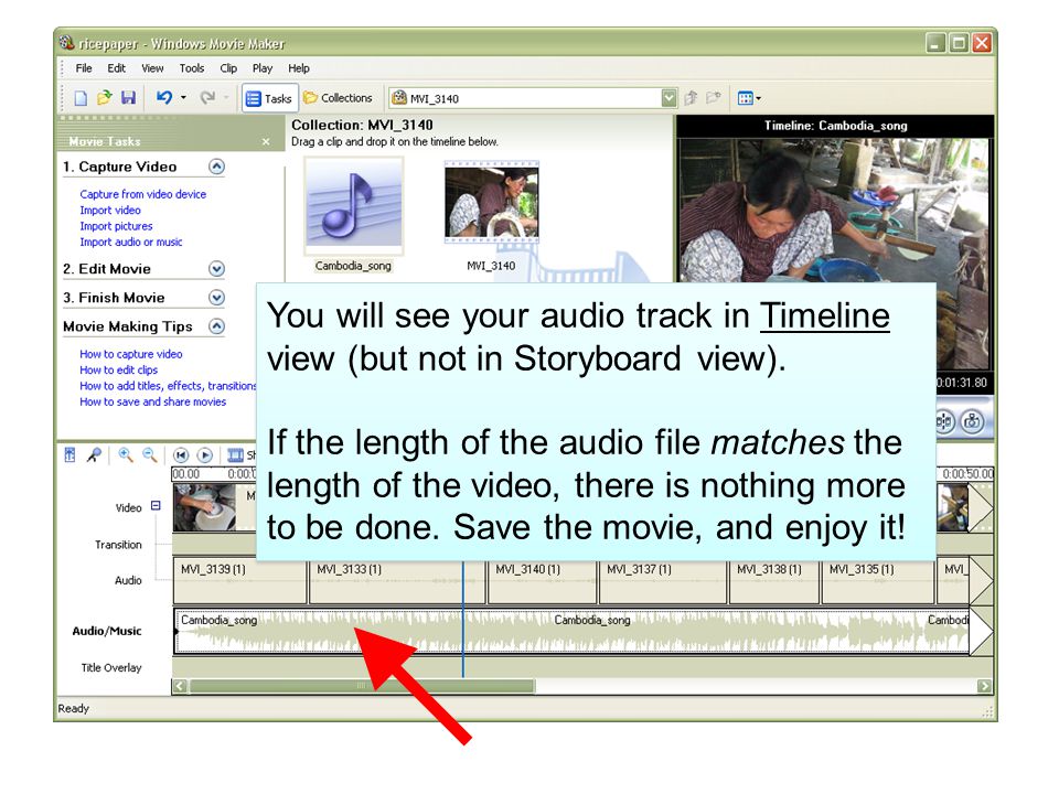 You will see your audio track in Timeline view (but not in Storyboard view).