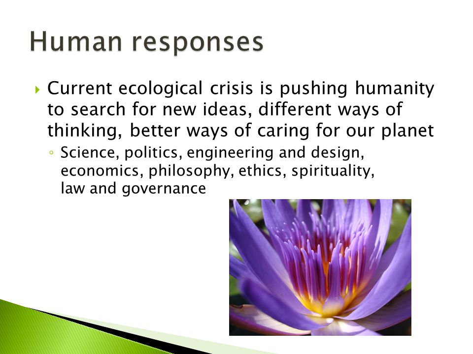  Current ecological crisis is pushing humanity to search for new ideas, different ways of thinking, better ways of caring for our planet ◦ Science, politics, engineering and design, economics, philosophy, ethics, spirituality, law and governance