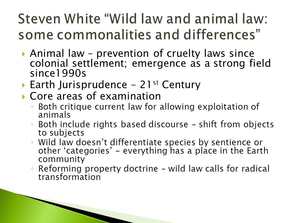  Animal law – prevention of cruelty laws since colonial settlement; emergence as a strong field since1990s  Earth Jurisprudence – 21 st Century  Core areas of examination ◦ Both critique current law for allowing exploitation of animals ◦ Both include rights based discourse – shift from objects to subjects ◦ Wild law doesn’t differentiate species by sentience or other ‘categories’ - everything has a place in the Earth community ◦ Reforming property doctrine – wild law calls for radical transformation