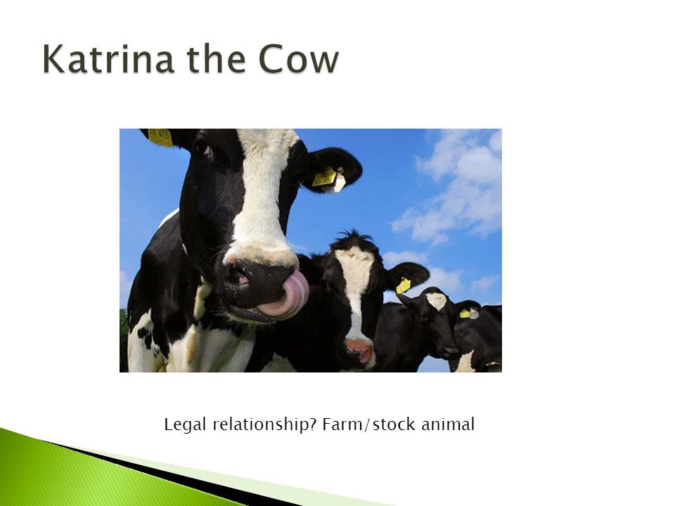 Legal relationship Farm/stock animal