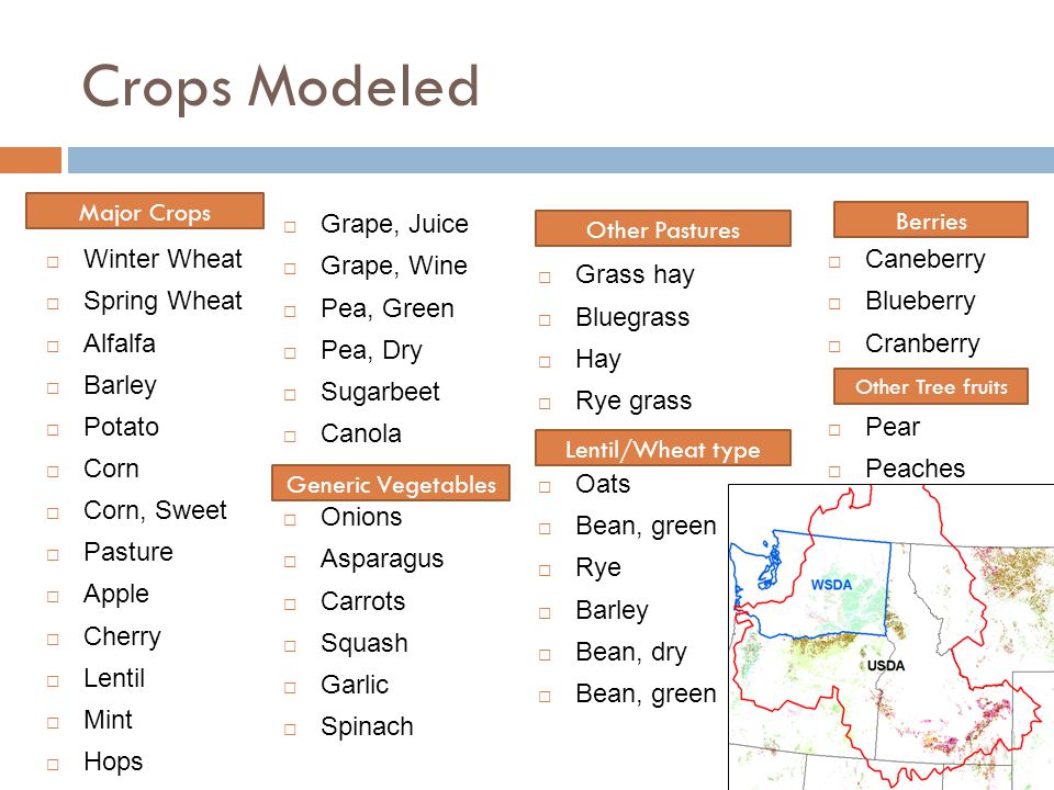 Crops Modeled  Winter Wheat  Spring Wheat  Alfalfa  Barley  Potato  Corn  Corn, Sweet  Pasture  Apple  Cherry  Lentil  Mint  Hops  Grape, Juice  Grape, Wine  Pea, Green  Pea, Dry  Sugarbeet  Canola  Onions  Asparagus  Carrots  Squash  Garlic  Spinach Generic Vegetables  Grape, Juice  Grass hay  Bluegrass  Hay  Rye grass  Oats  Bean, green  Rye  Barley  Bean, dry  Bean, green Other Pastures Lentil/Wheat type  Caneberry  Blueberry  Cranberry  Pear  Peaches Berries Other Tree fruits Major Crops