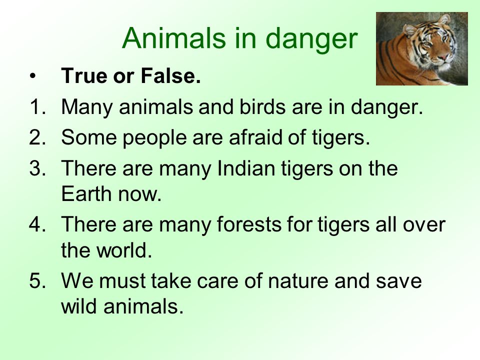 True or false for many. Animals English презентации. Английский язык true or false. Топик по английскому animals in Danger. Задания true or false по английскому.