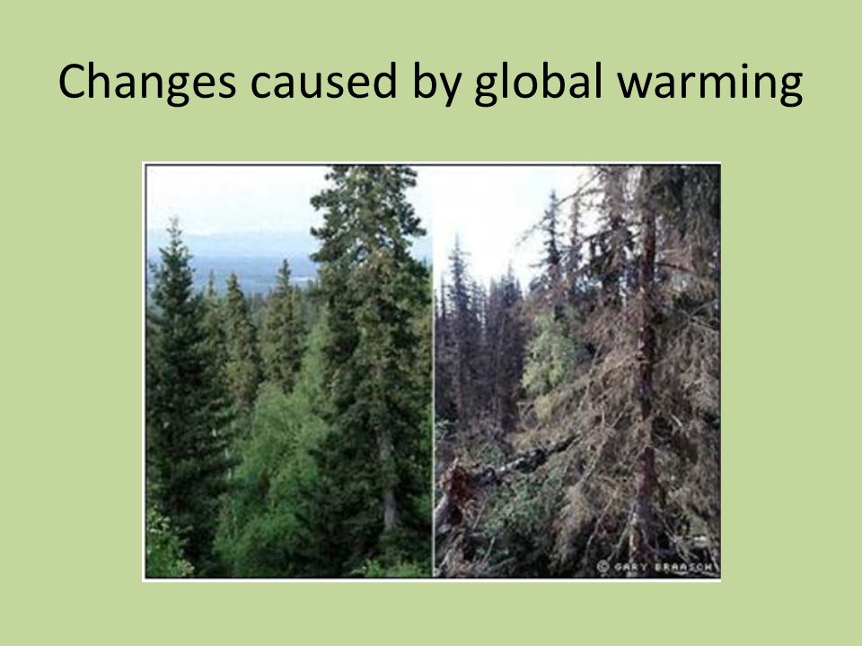 Changes caused by global warming