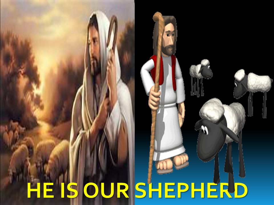 HE IS OUR SHEPHERD
