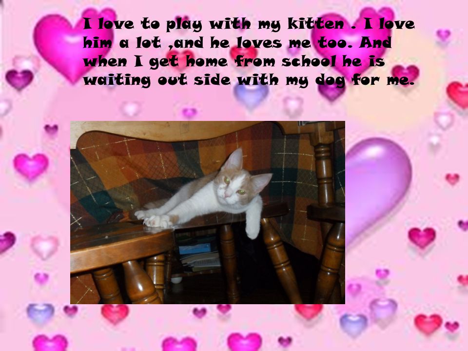 I love to play with my kitten. I love him a lot,and he loves me too.