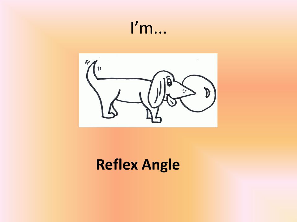 I’m... Reflex Angle