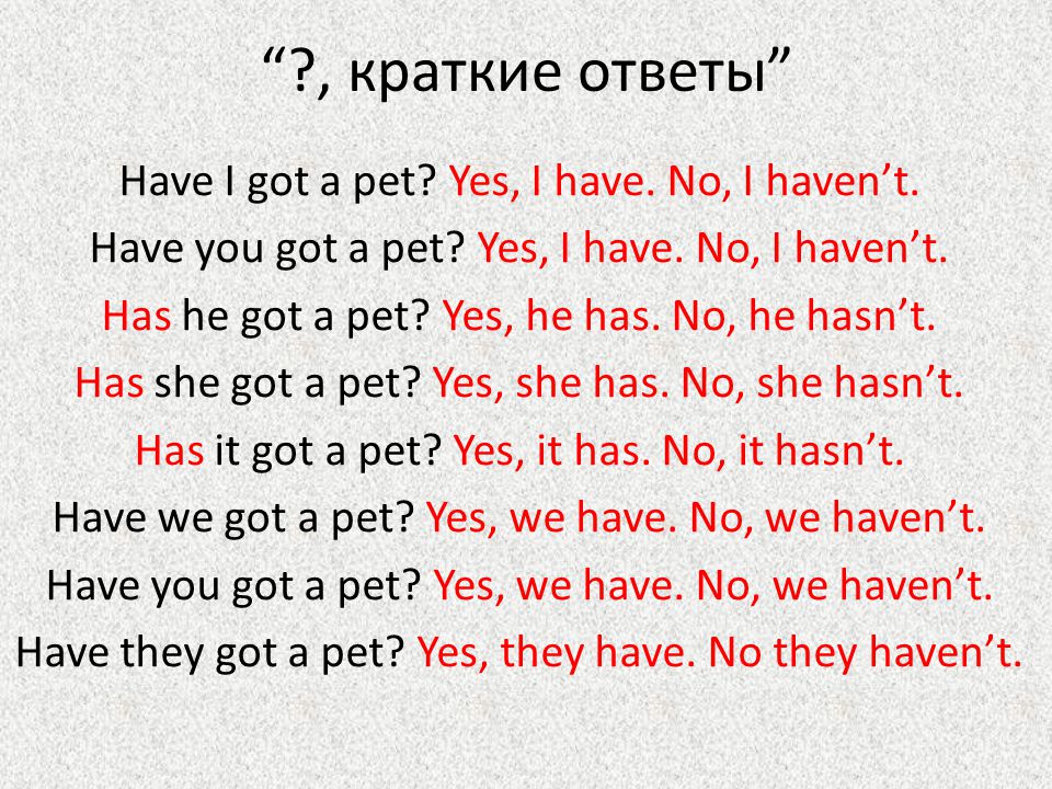 Got a pet перевод на русский. Have got вопросы и ответы. Have got has got правило. Have got краткие ответы. Вопросы с глаголом have got.