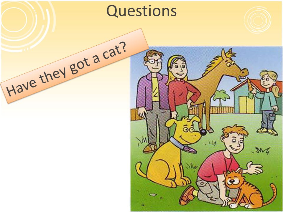 Questions Have they got a cat