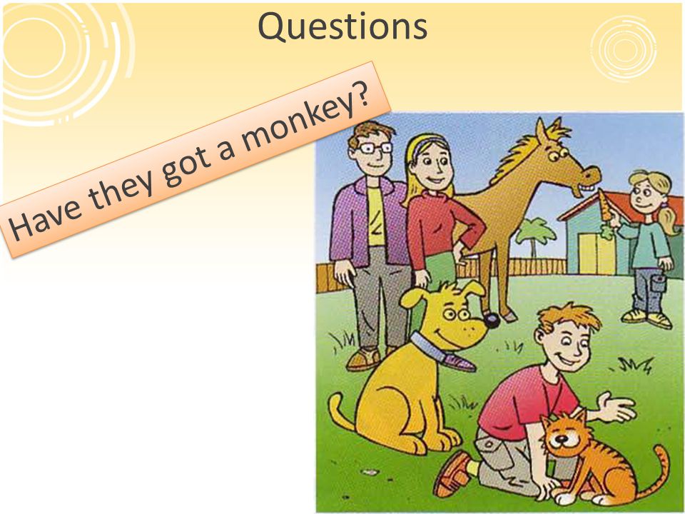 Questions Have they got a monkey