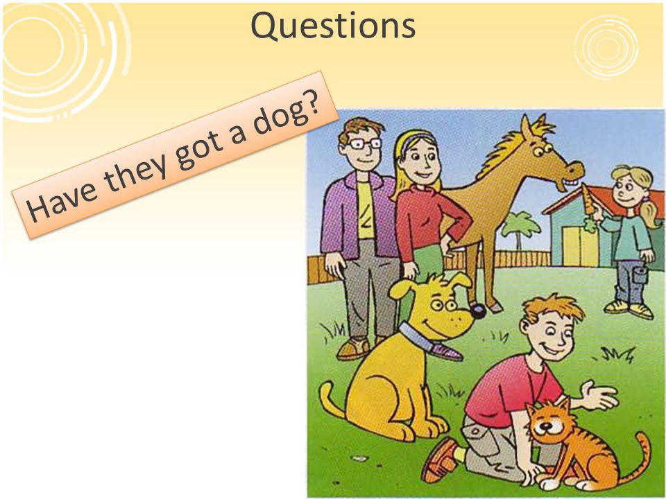 Questions Have they got a dog