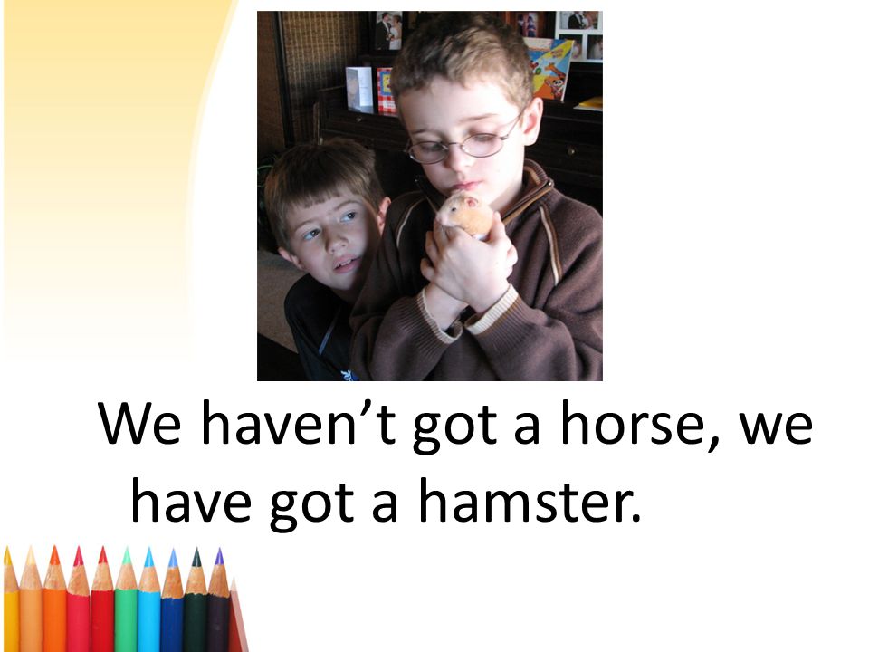 We haven’t got a horse, we have got a hamster.