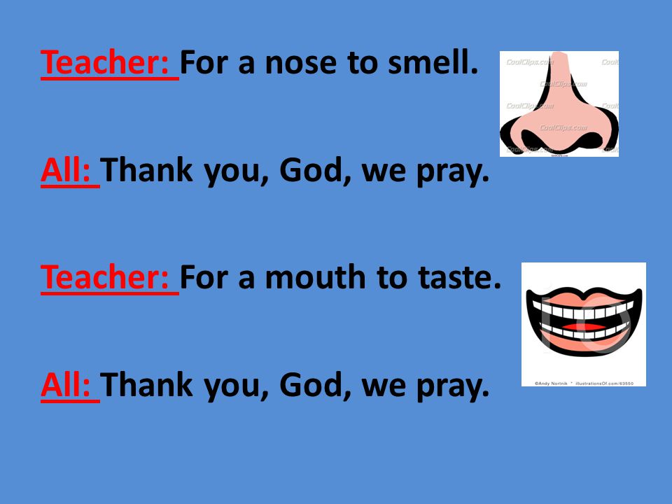 Teacher: For a nose to smell. All: Thank you, God, we pray.