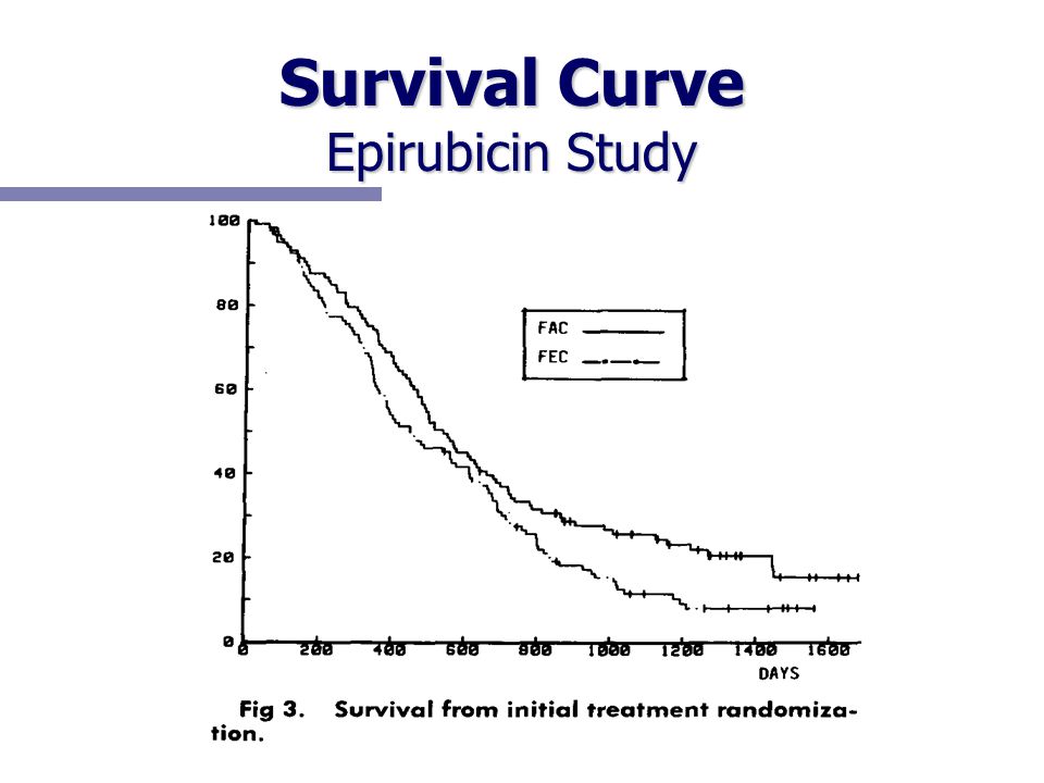 Survival Curve Epirubicin Study