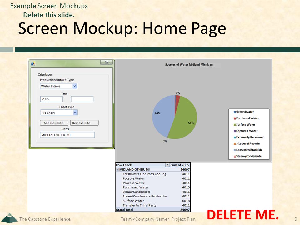 Screen Mockup: Home Page The Capstone Experience9 DELETE ME.