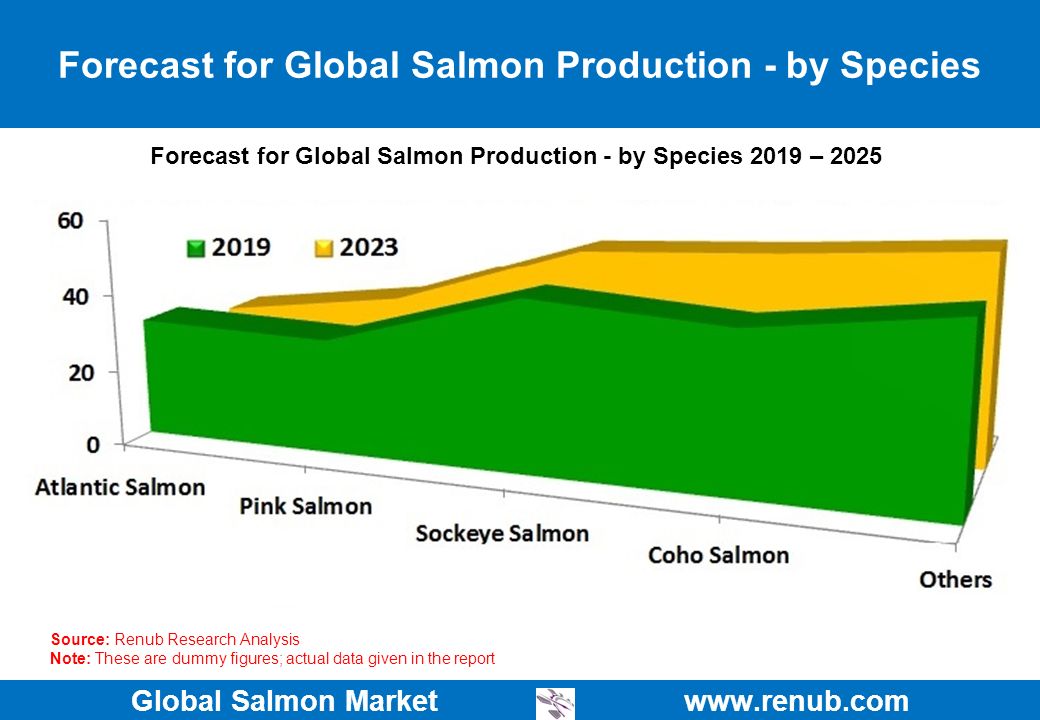 Global Salmon Market Global Salmon Market. ppt download