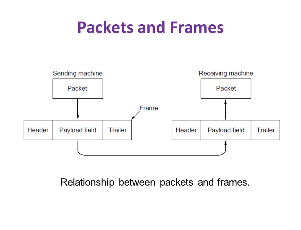 Data link layer position of the data link layer ppt download