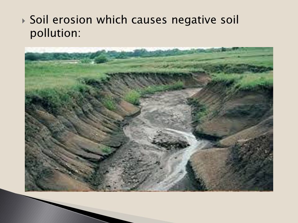 Soil pollution - ppt download