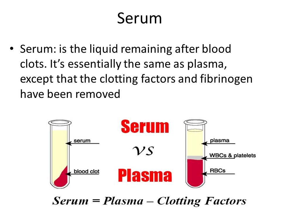 Blood Blood: it’s a red fluid in the body that contains white and red ...