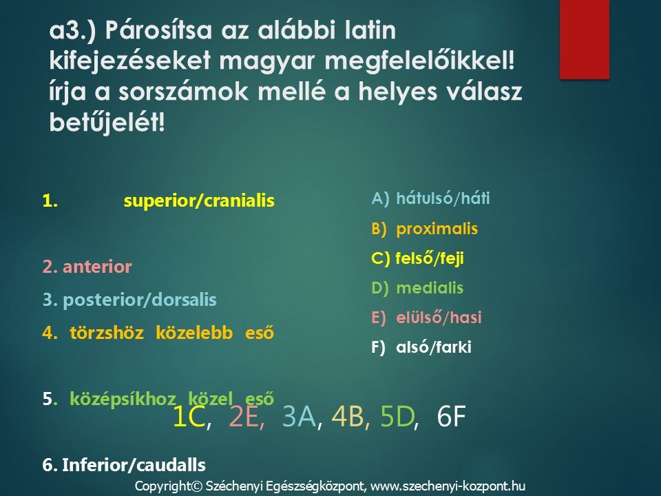 a3.) Párosítsa az alábbi latin kifejezéseket magyar megfelelőikkel.