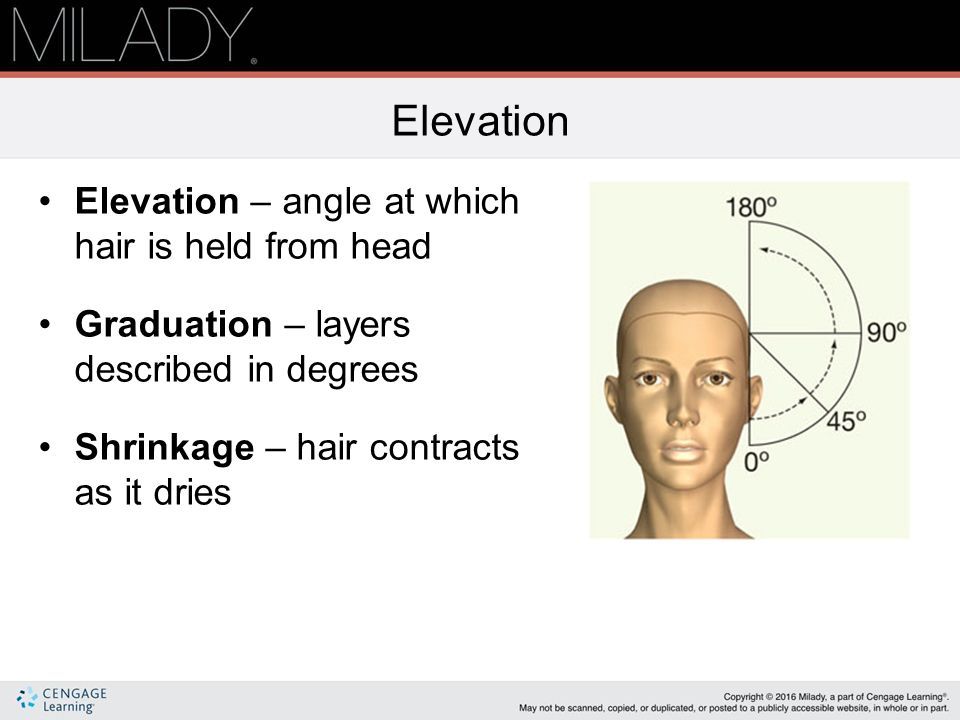 Chapter 16 Haircutting Learning Objectives Identify The Reference chapter-16-haircutting-learning-objectives-identify-the-reference