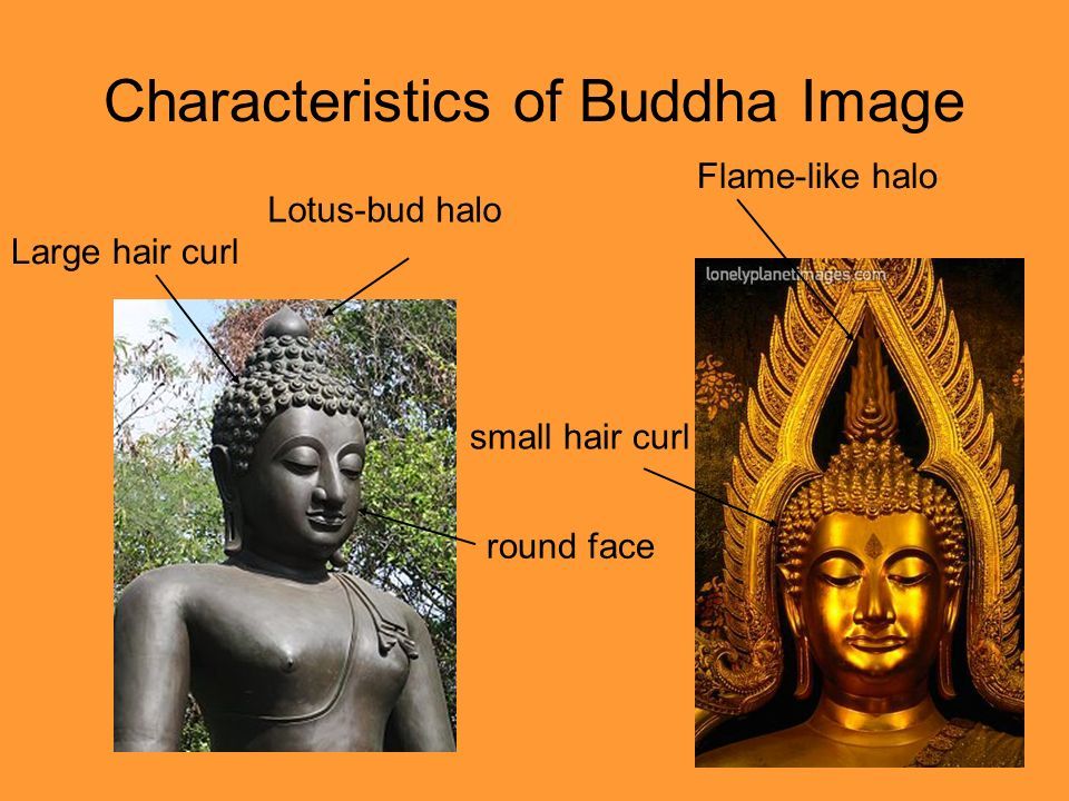 Lotus is a symbol of Buddhism. The wheel of law. - ppt download