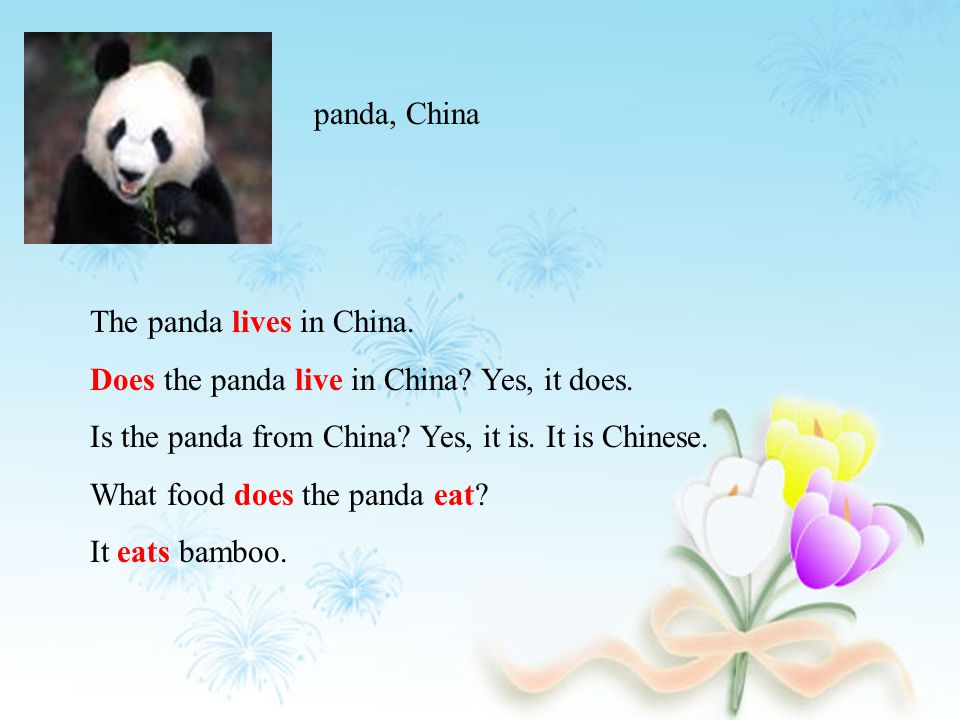 语言知识目标 A 谈论自己喜欢的动物 B 语法 一般现在时第三人称单数做主语的疑问句及其回答 C 词汇 Tiger Camel Elephant Lion Giraffe Kangaroo Monkey Panda Wolf Polar Bear Zebra Desert Ppt Download