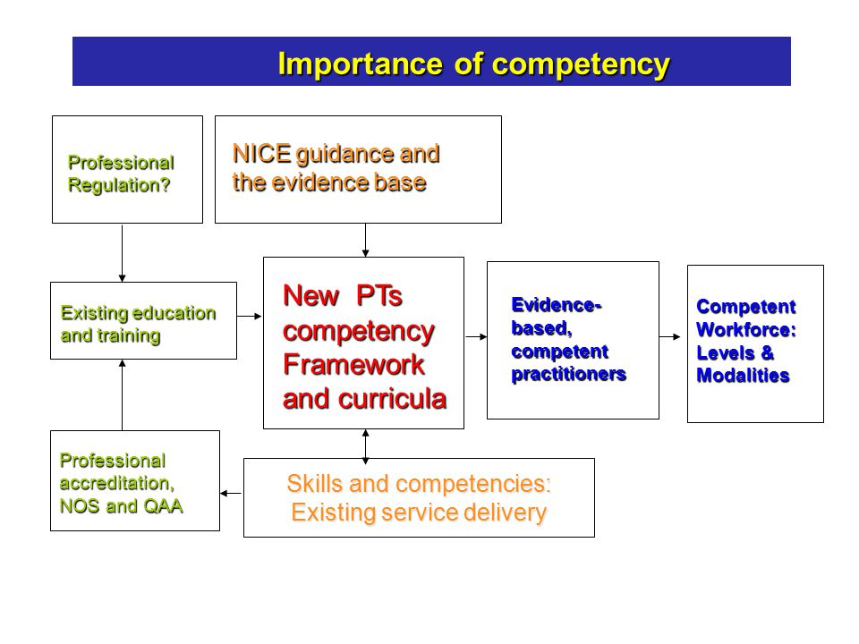 Skills and competencies: Existing service delivery New PTs competency Framework and curricula NICE guidance and the evidence base Existing education and training ProfessionalRegulation.