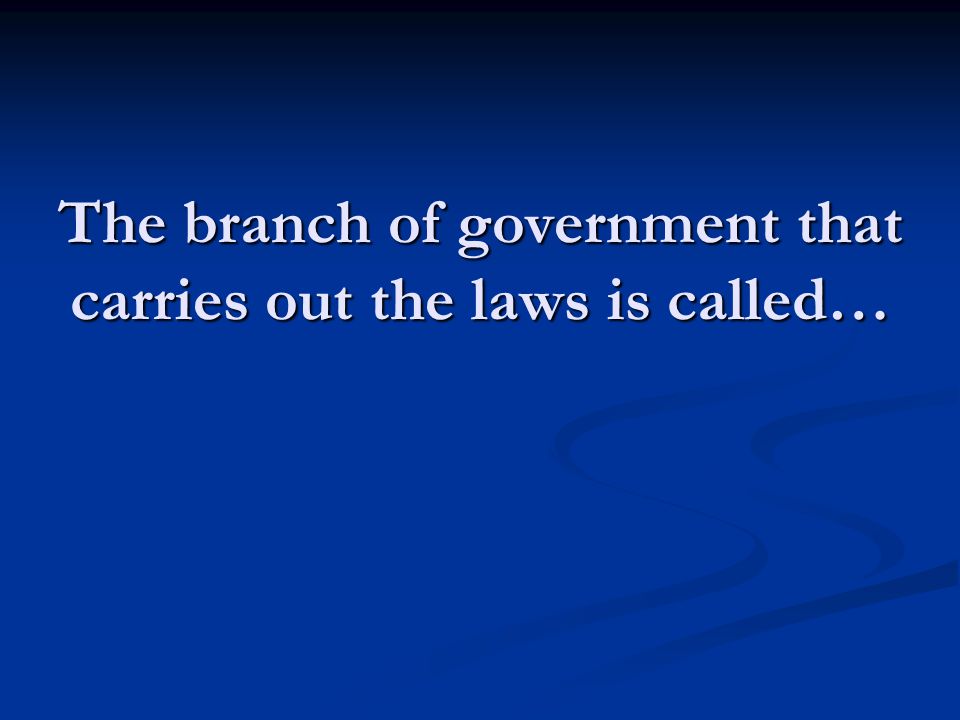 The branch of government that carries out the laws is called…