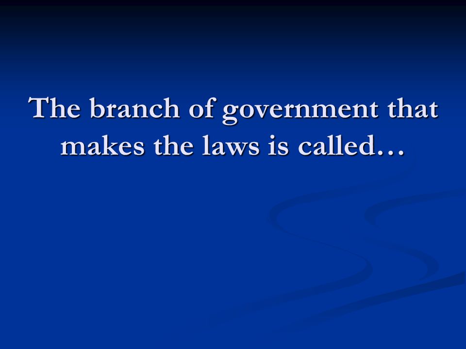The branch of government that makes the laws is called…