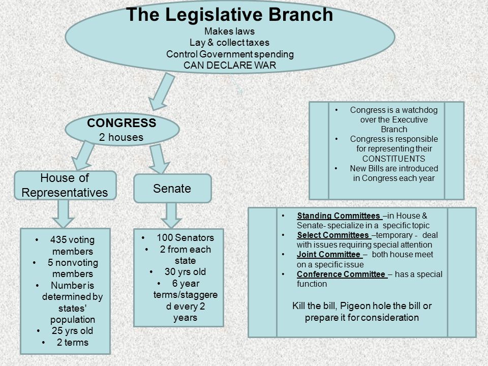 The Legislative Branch Makes laws Lay & collect taxes Control Government spending CAN DECLARE WAR CONGRESS 2 houses House of Representatives Senate 435 voting members 5 nonvoting members Number is determined by states population 25 yrs old 2 terms 100 Senators 2 from each state 30 yrs old 6 year terms/staggere d every 2 years Congress is a watchdog over the Executive Branch Congress is responsible for representing their CONSTITUENTS New Bills are introduced in Congress each year Standing Committees –in House & Senate- specialize in a specific topic Select Committees –temporary - deal with issues requiring special attention Joint Committee – both house meet on a specific issue Conference Committee – has a special function Kill the bill, Pigeon hole the bill or prepare it for consideration