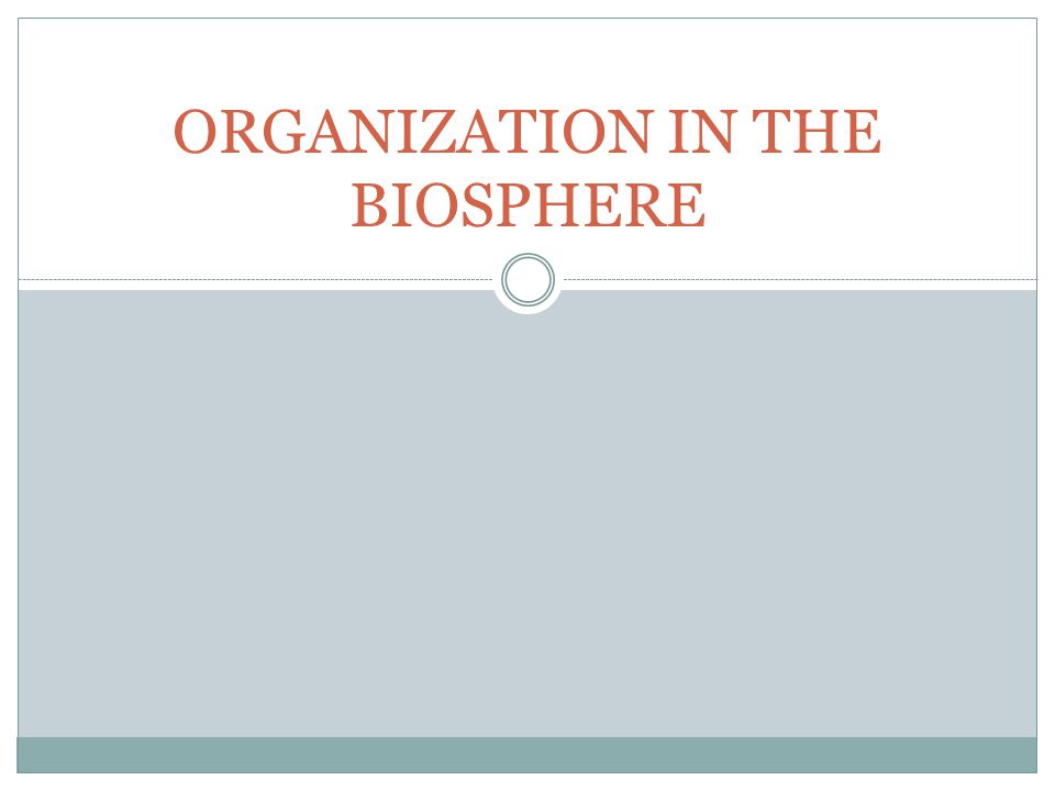 ORGANIZATION IN THE BIOSPHERE