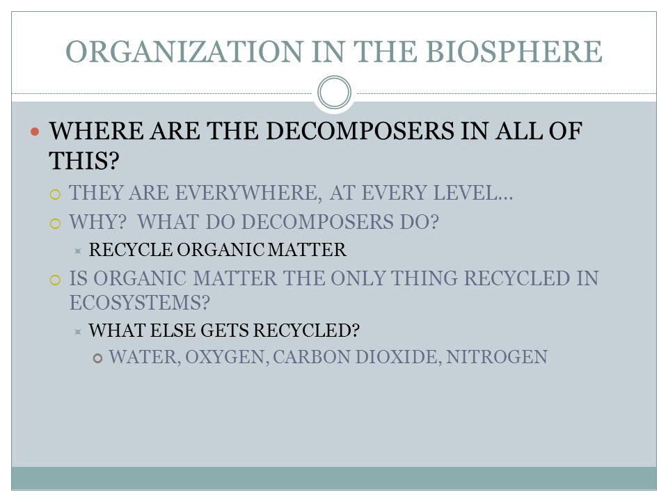 ORGANIZATION IN THE BIOSPHERE WHERE ARE THE DECOMPOSERS IN ALL OF THIS.