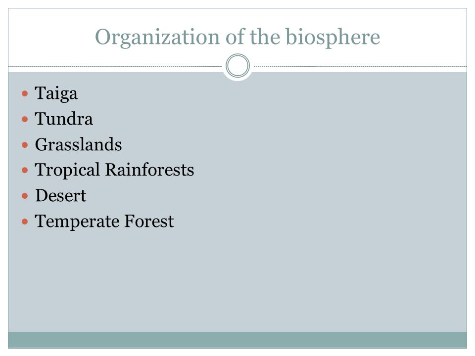 Organization of the biosphere Taiga Tundra Grasslands Tropical Rainforests Desert Temperate Forest