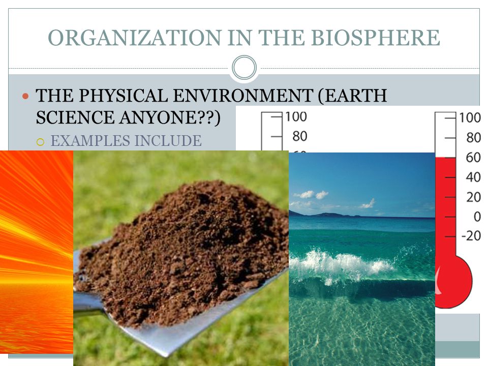 ORGANIZATION IN THE BIOSPHERE THE PHYSICAL ENVIRONMENT (EARTH SCIENCE ANYONE )  EXAMPLES INCLUDE